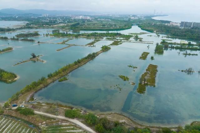 保乐力加“海南时间”：中国市场布局升级，更有“新版图”发布