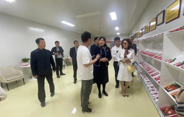 德国LSX食品批发有限公司董事长留雪梅一行赴鹿邑县参访文化食品产业