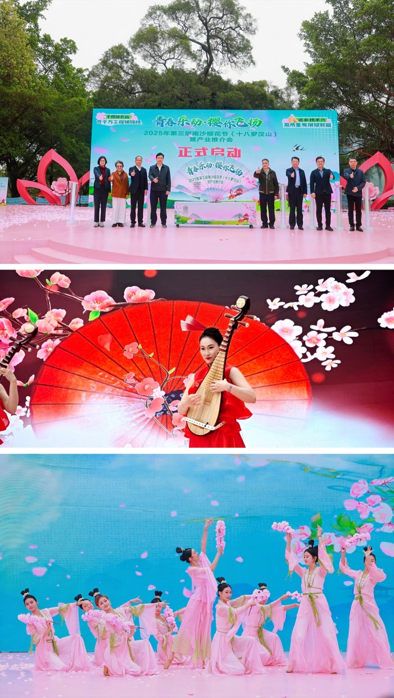 广州南沙区大岗镇以花为媒   链接产业未来！ 2025第三届南沙樱花节正式开幕
